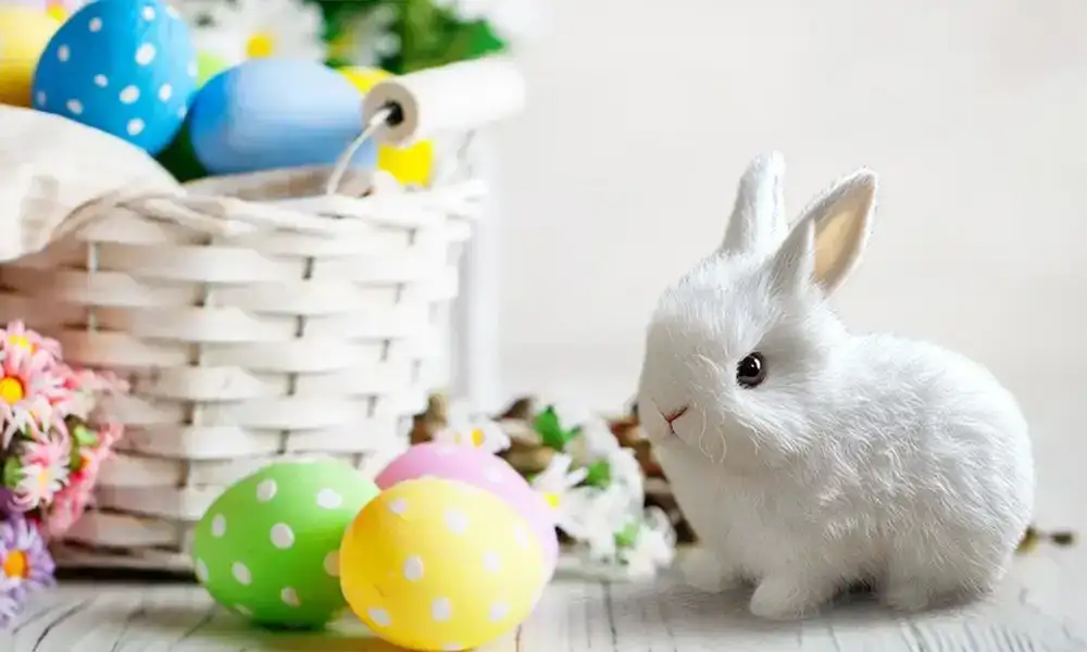 Das beste Geschenk für Ihre Kinder
